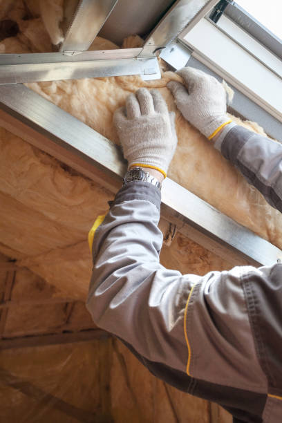 Best Insulation Maintenance and Repair in Roessleville, NY