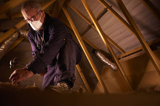Best Insulation Installation Services in Roessleville, NY